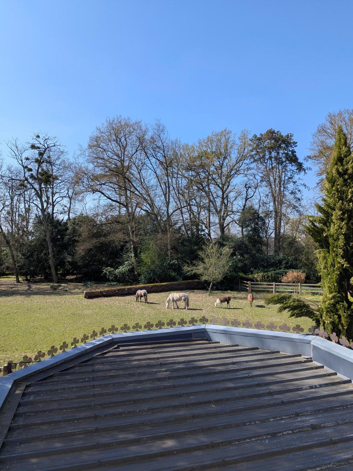 Bed & Breakfast Manoir De La Maison Blanche 3*